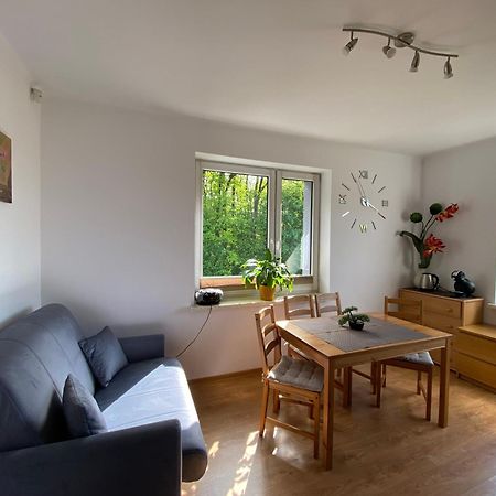 Apartament Natalia Zywiec Bagian luar foto