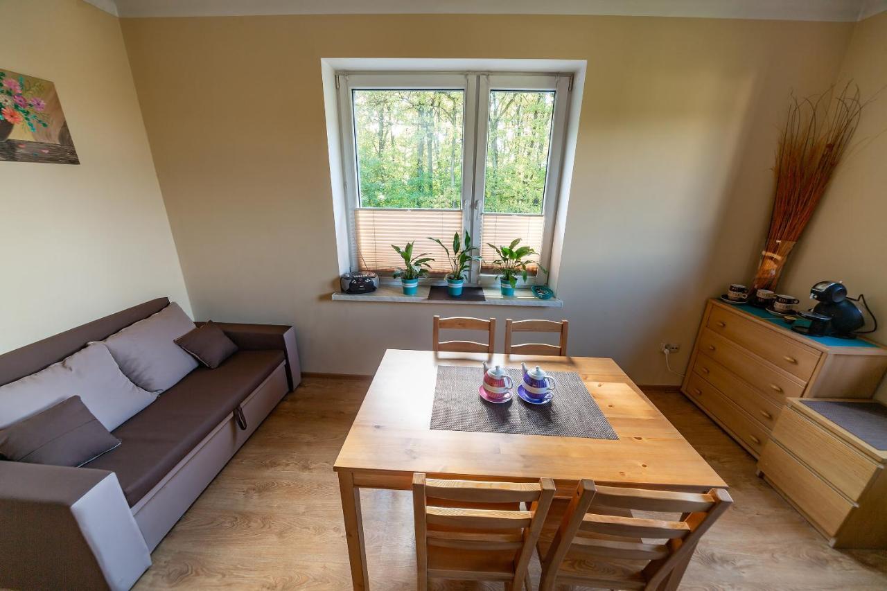 Apartament Natalia Zywiec Bagian luar foto