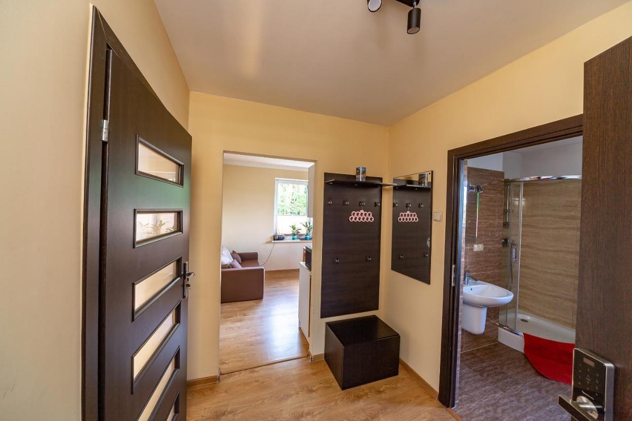 Apartament Natalia Zywiec Bagian luar foto
