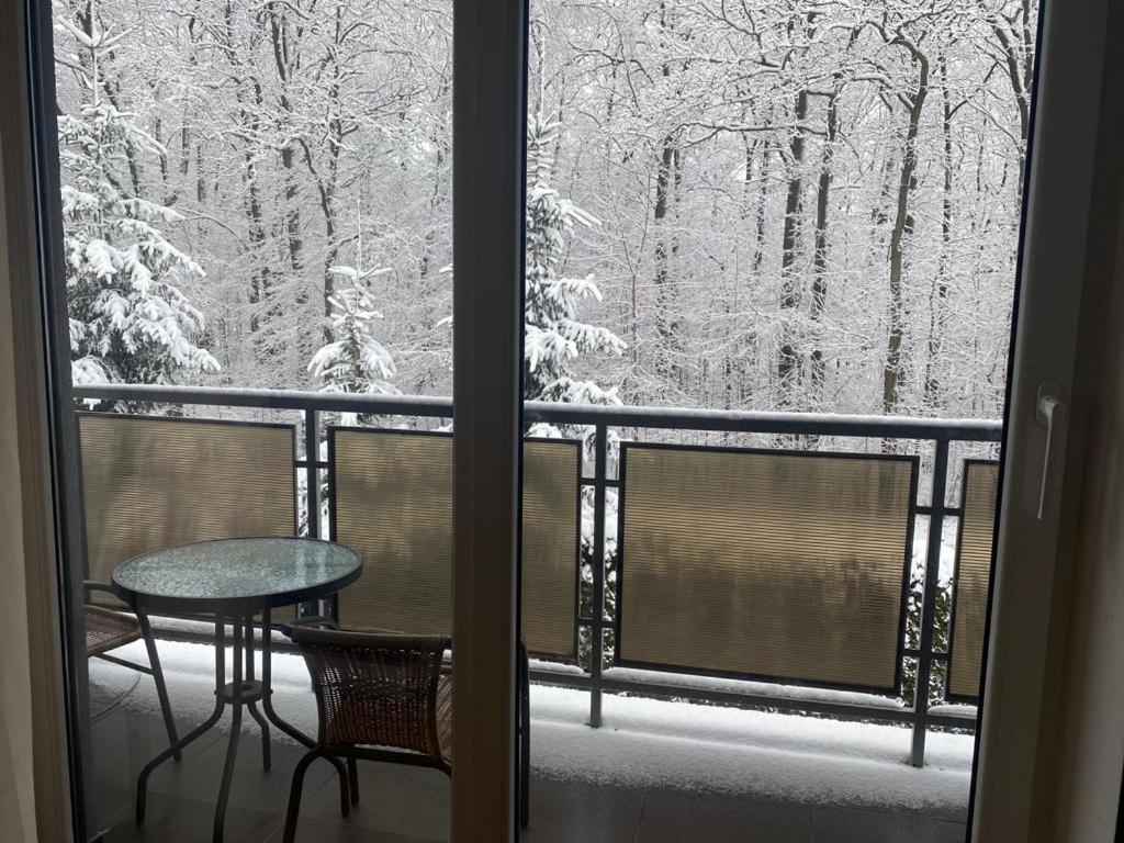 Apartament Natalia Zywiec Bagian luar foto