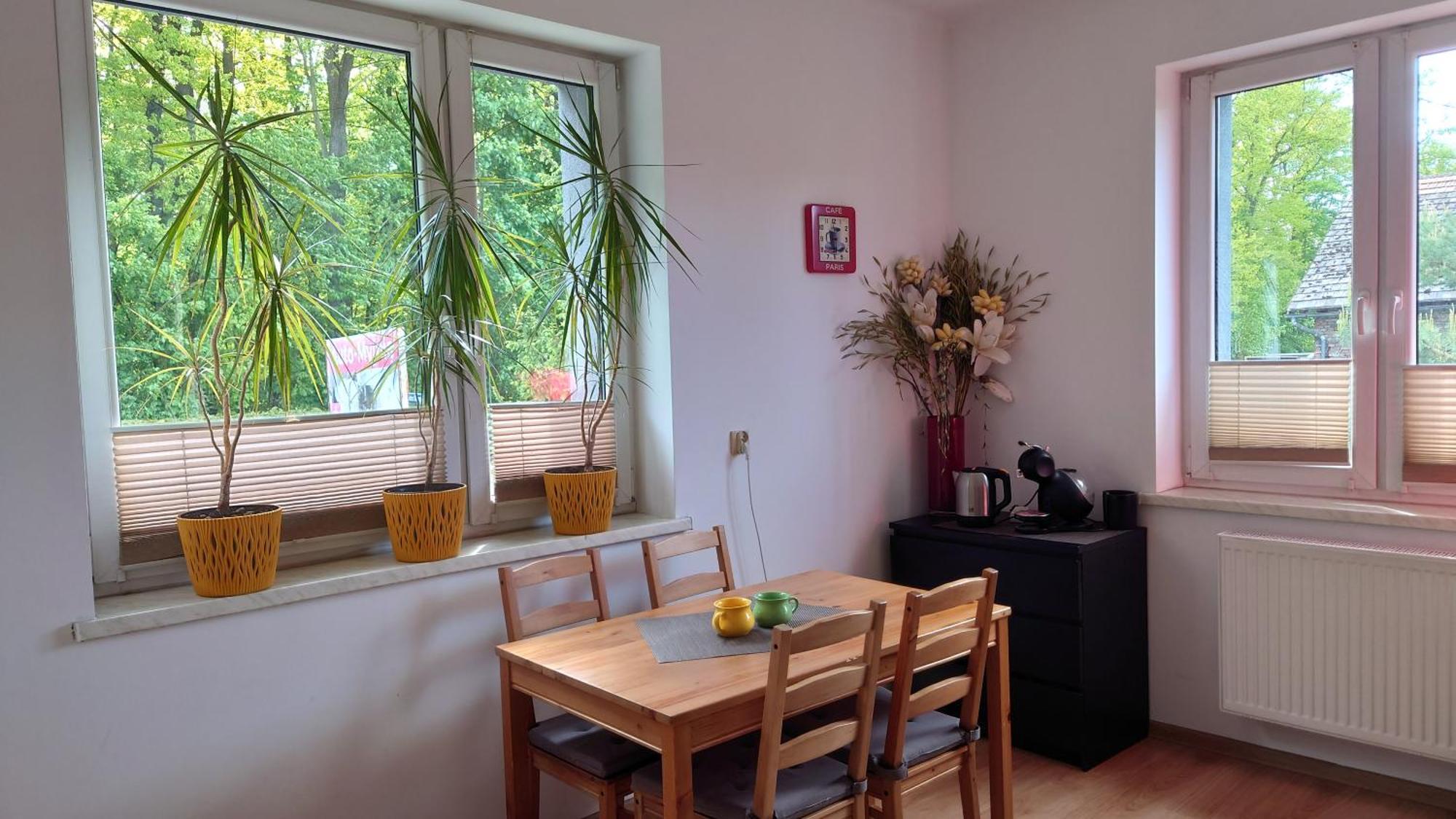 Apartament Natalia Zywiec Bagian luar foto